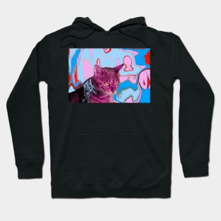 Cat / Swiss Artwork Photography Hoodie